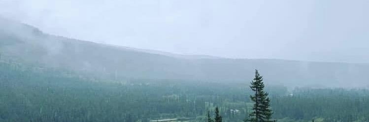 JessicaWithrow1's profile banner image