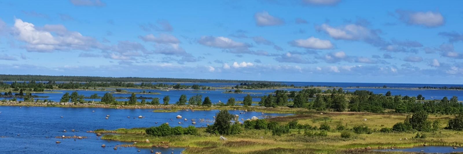 PKuula's profile banner image