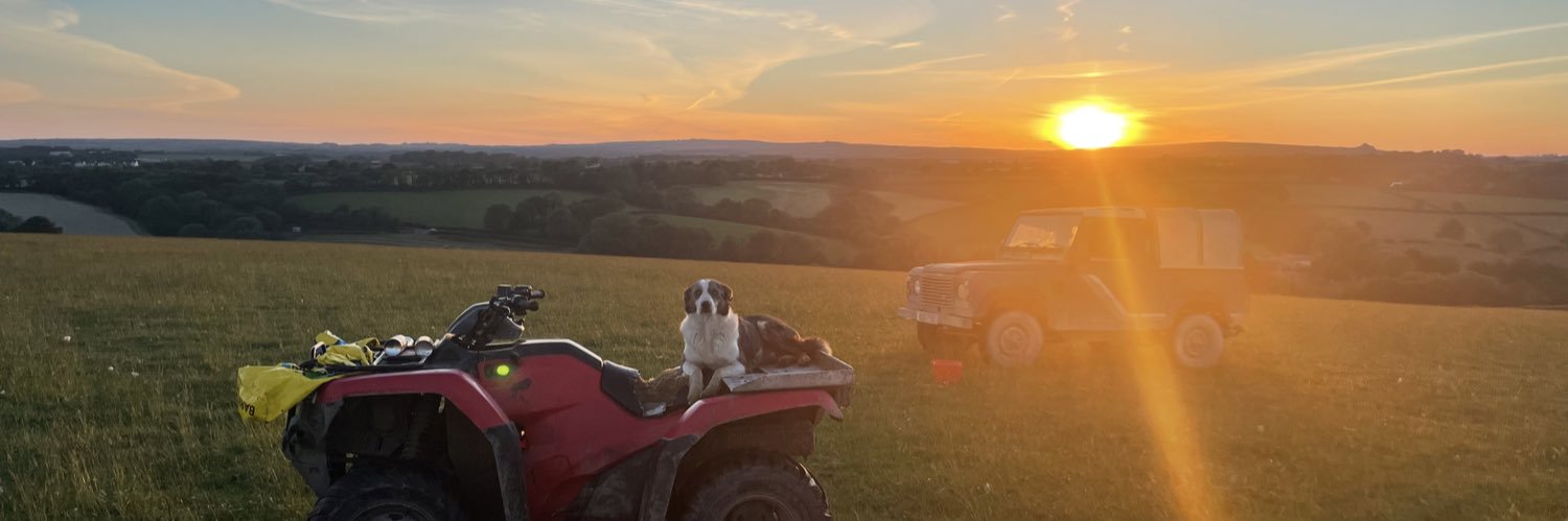 Hannah Vaughan banner