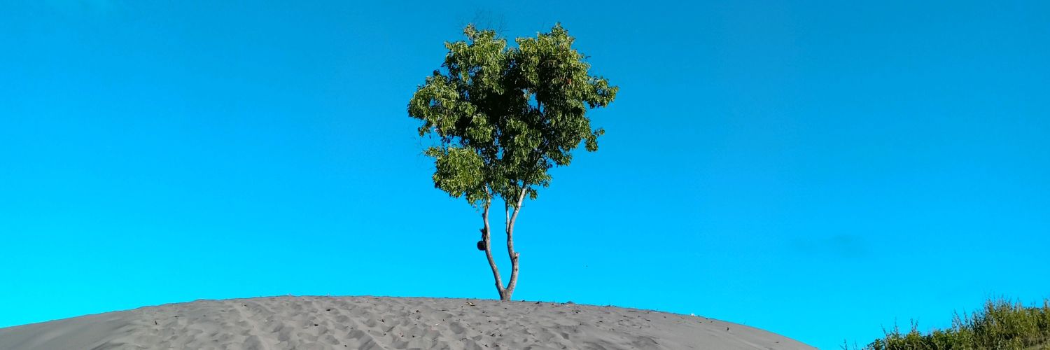 ElianaFrtm's profile banner image