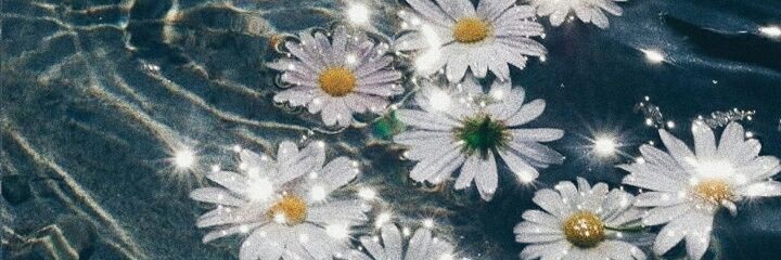 shmila__'s profile banner image