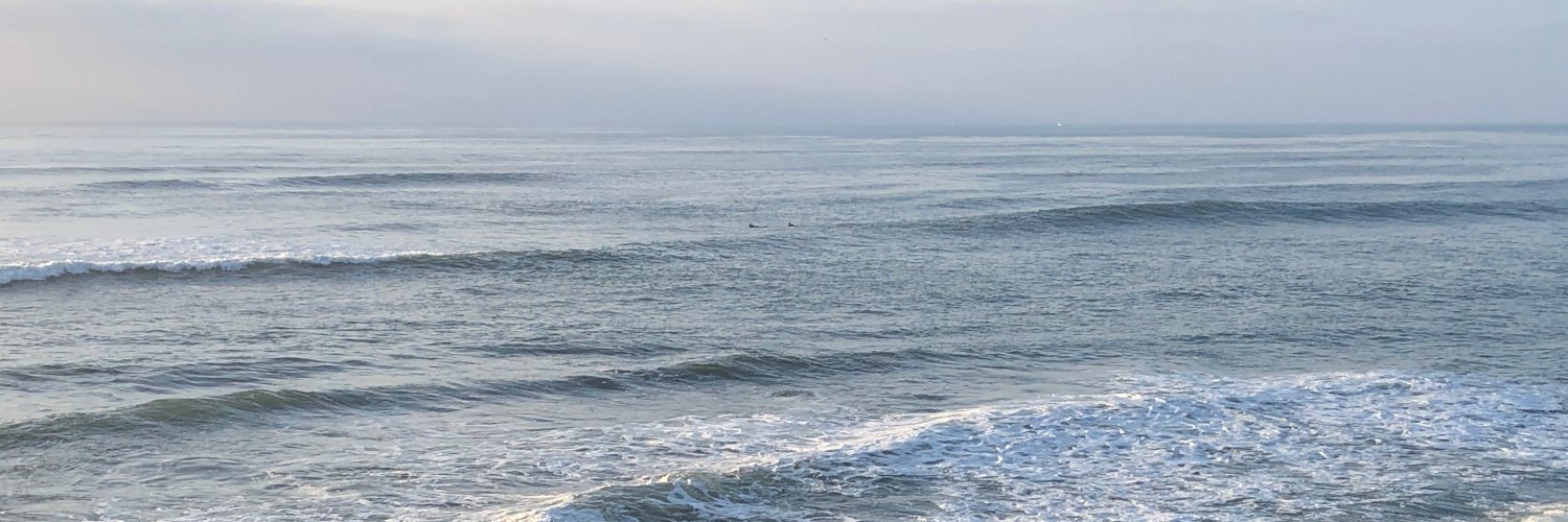 Jay Conrod 🌴 banner