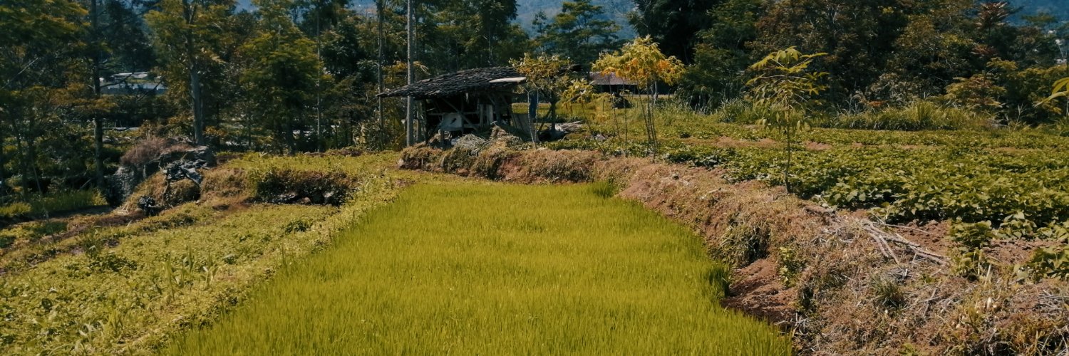 birddbrainz's profile banner image