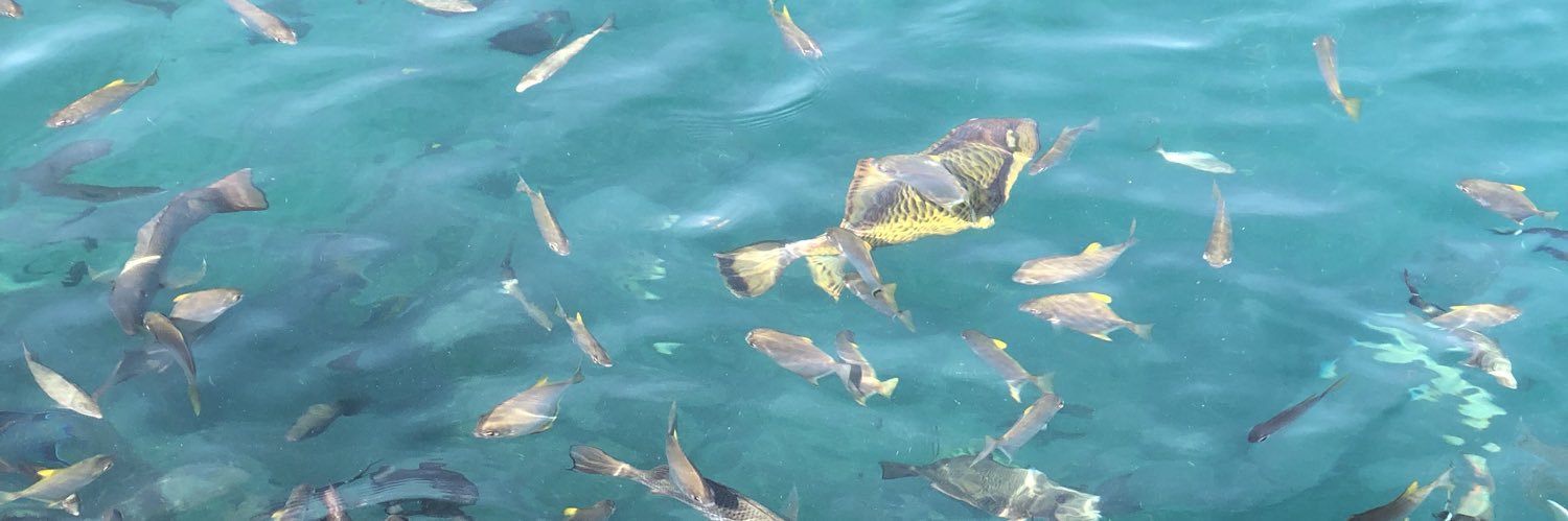 Laura Pendergast banner