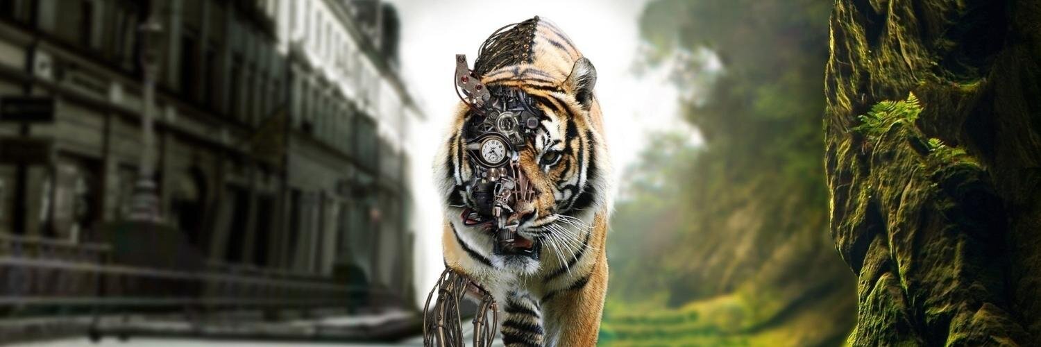 joesdrasel's profile banner image
