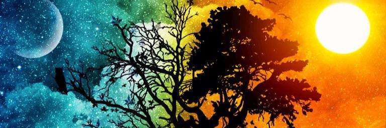 WitchWayBaby's profile banner image