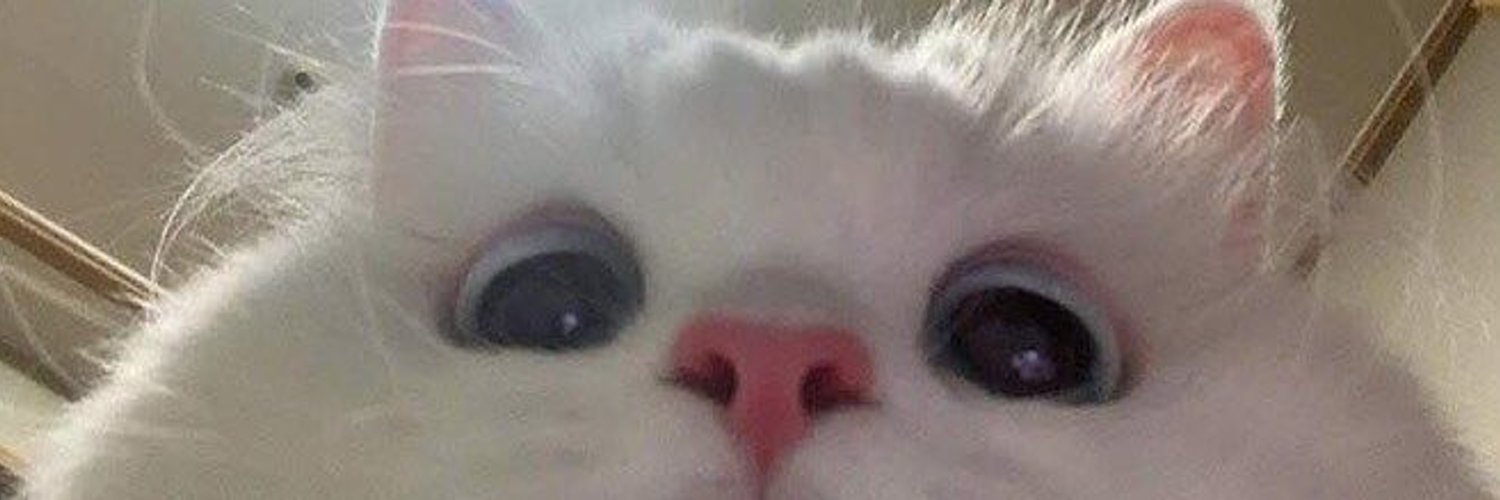 minikdoktoru's profile banner image