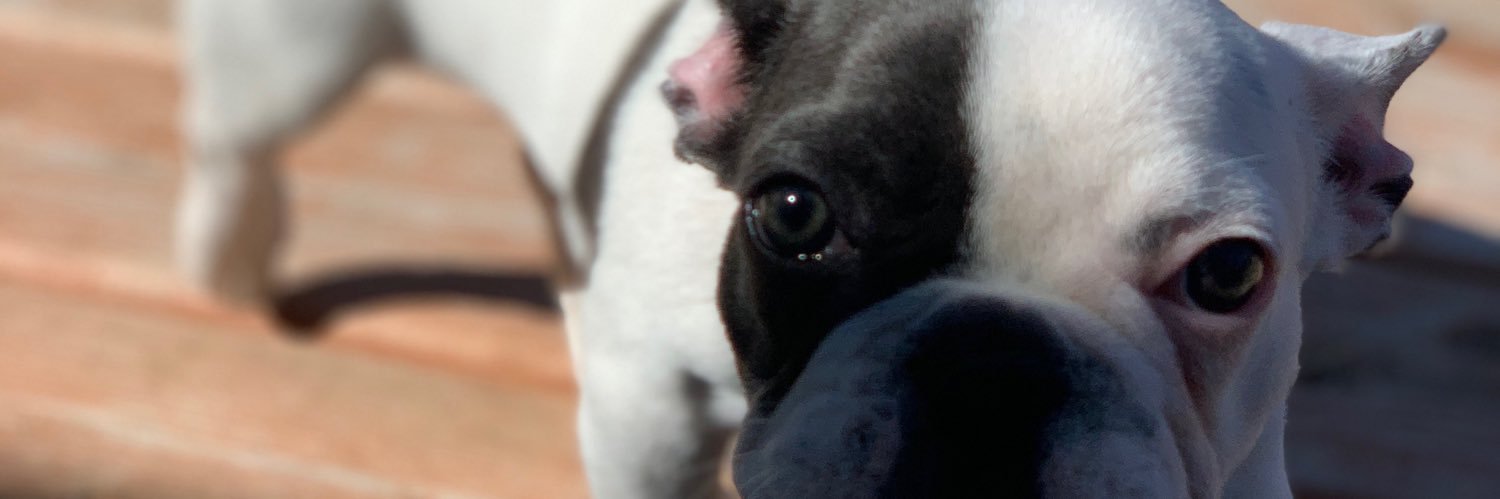 Max banner