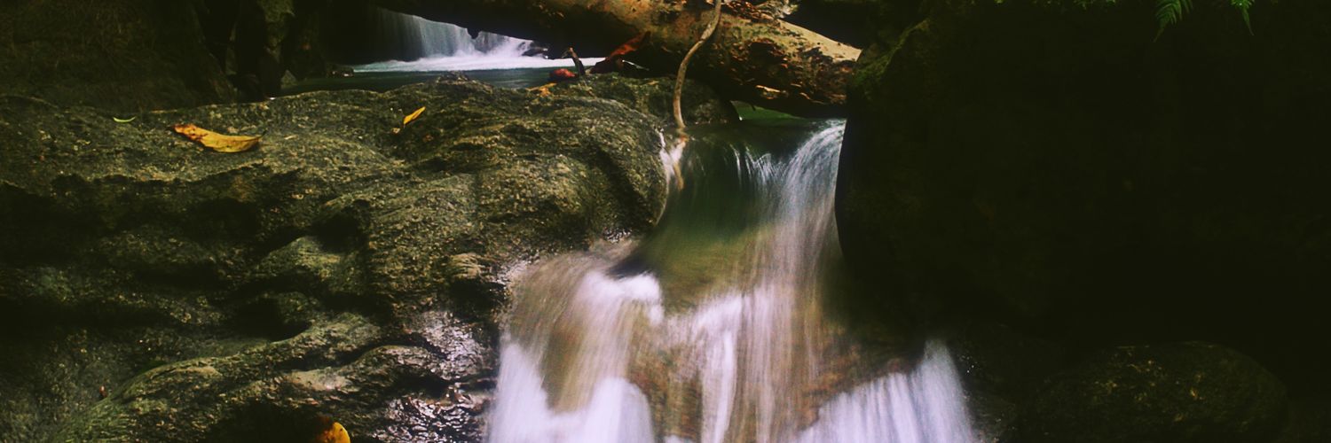 cosmotee's profile banner image