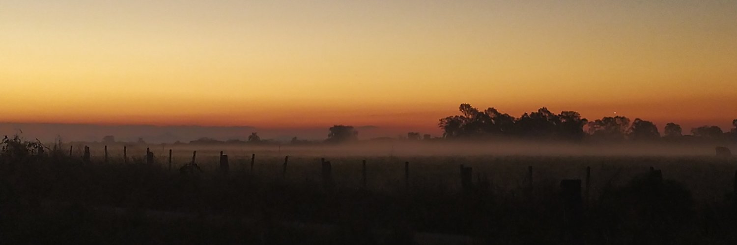 tiagotapes's profile banner image