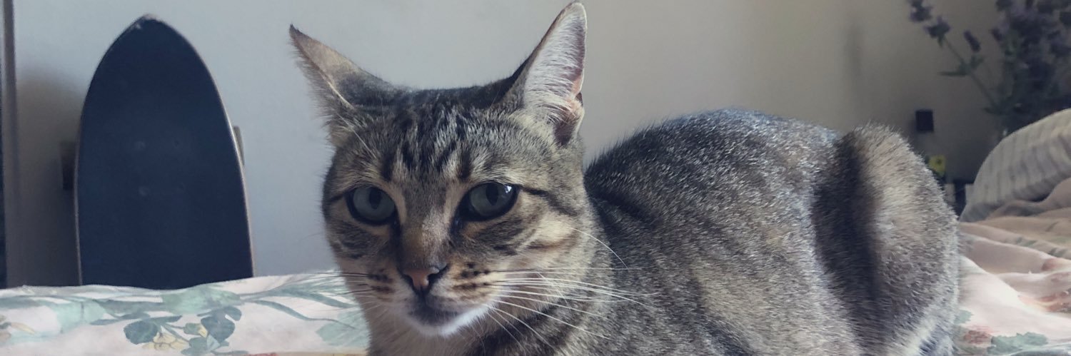 sofiasolana_'s profile banner image
