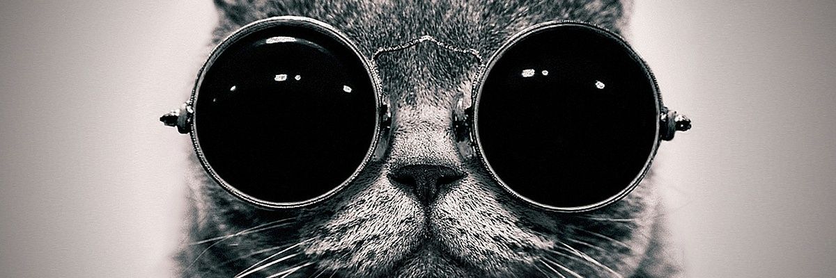 viekiy's profile banner image