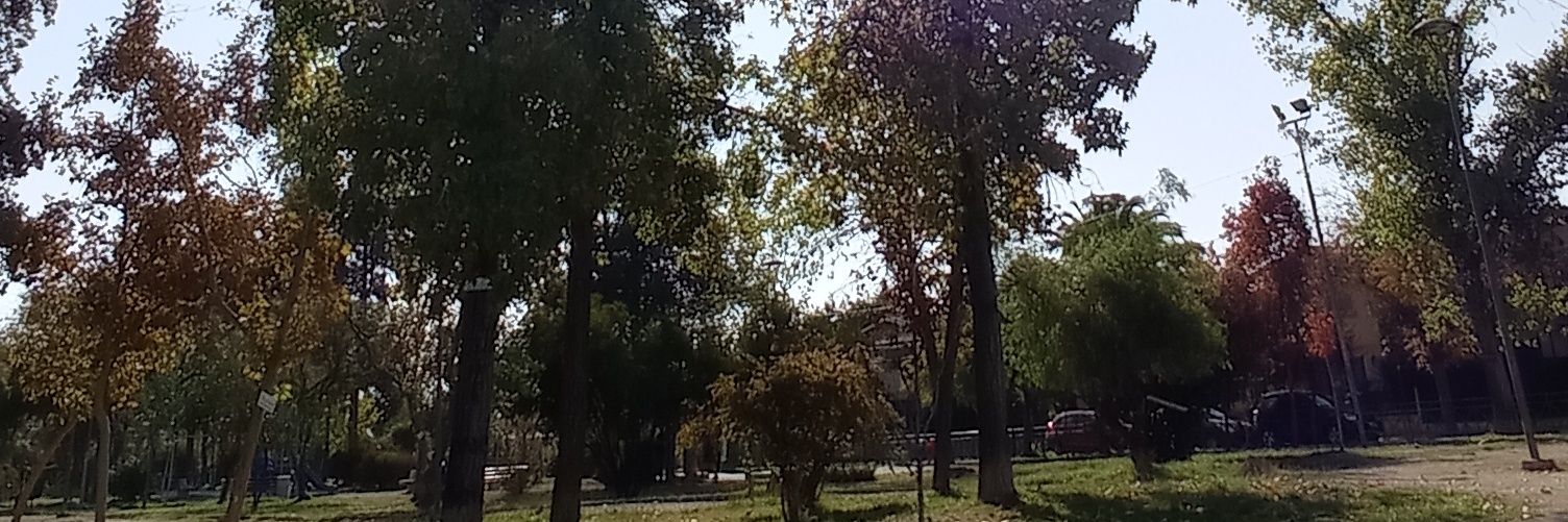 mariandreinag's profile banner image