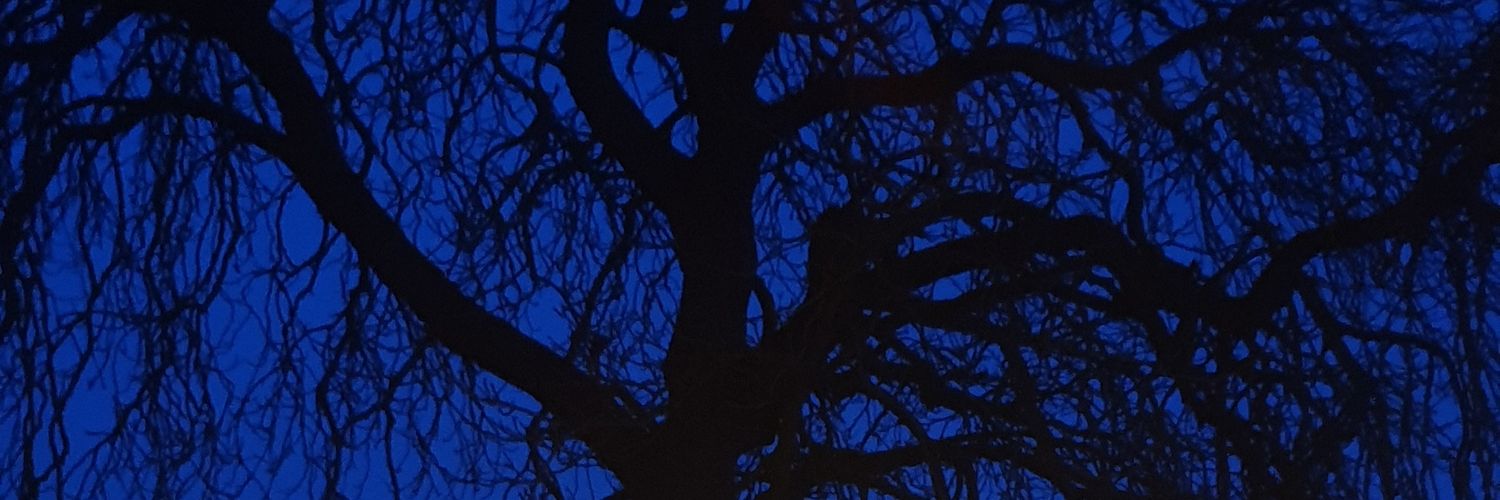 wilkuOx's profile banner image