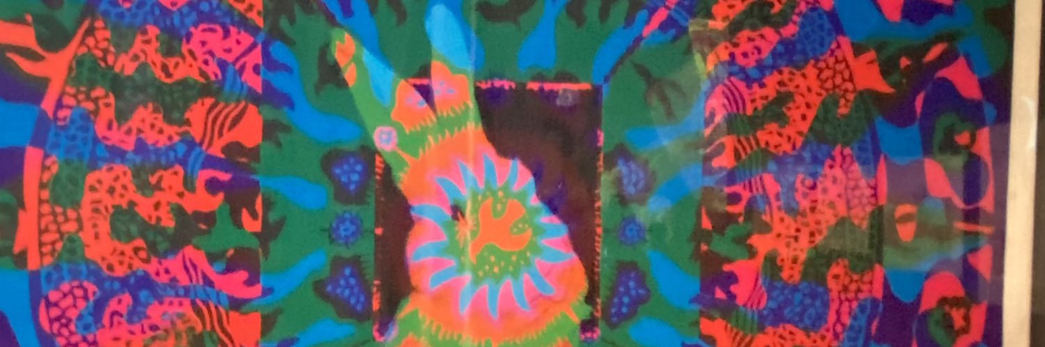 Somali Wild Ass banner