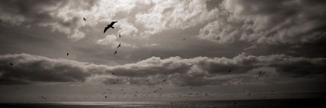oldcustomhse19's profile banner image