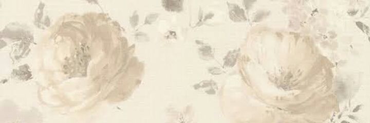 ravisantte's profile banner image