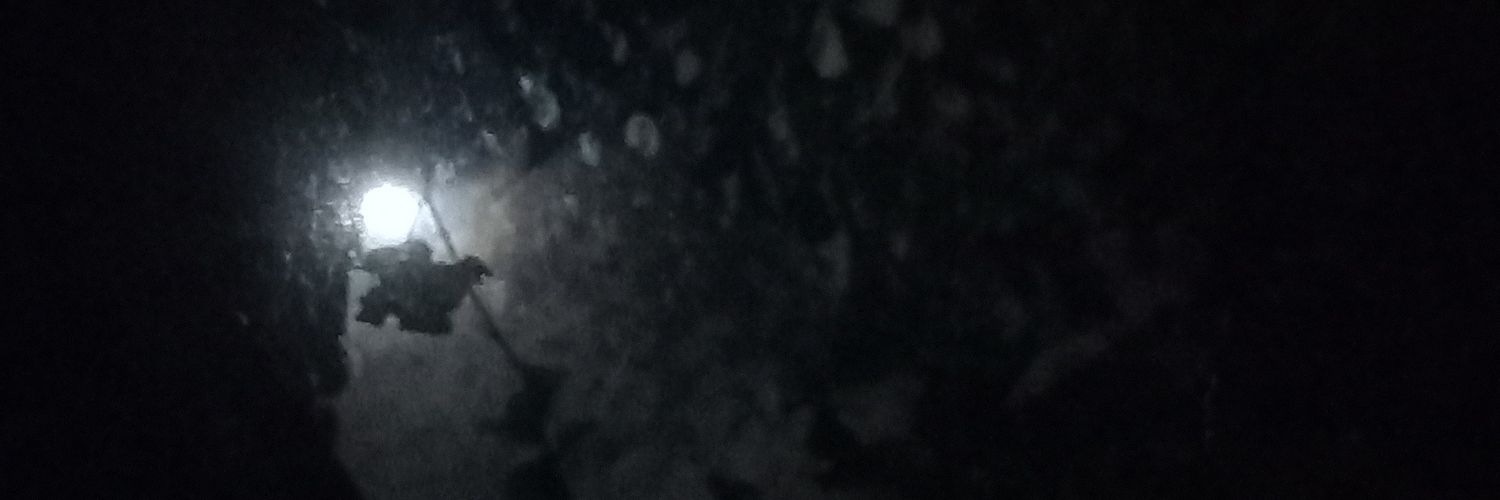 _telesreal's profile banner image