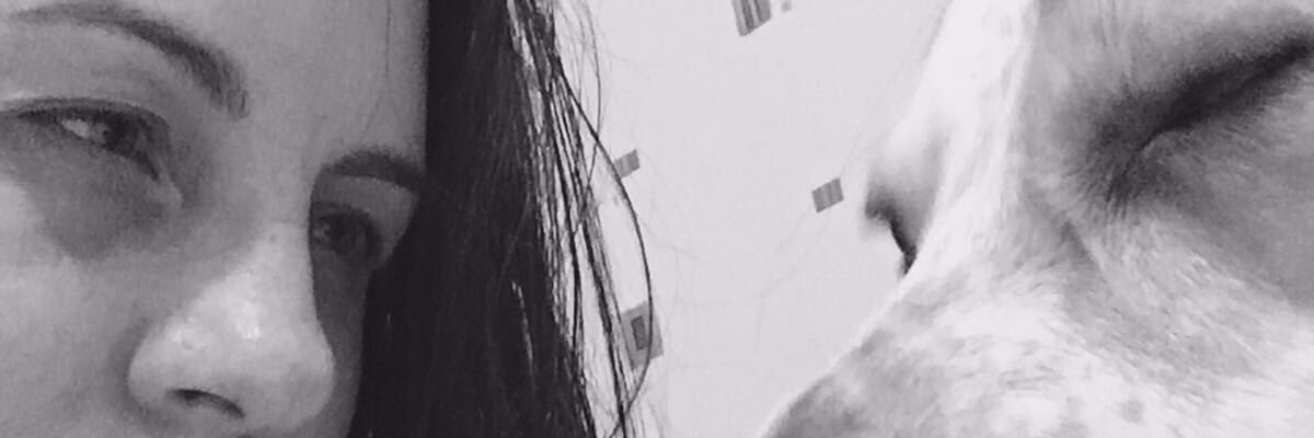 turckle's profile banner image
