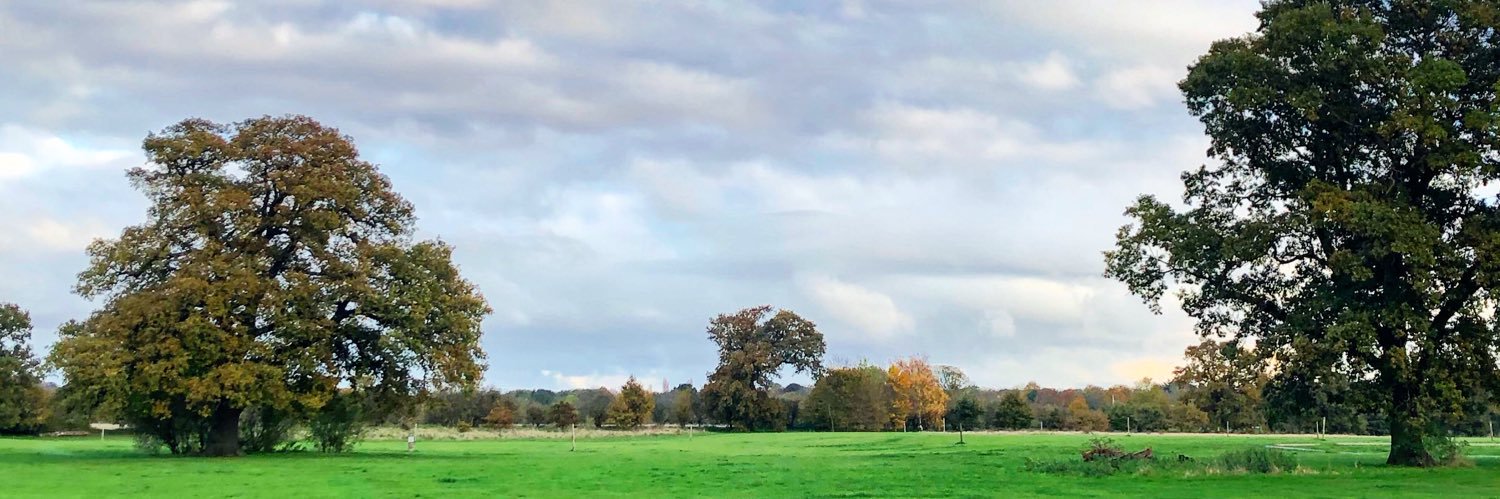 Matthew Cross banner