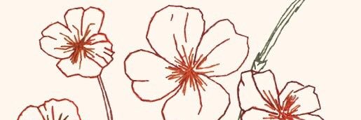 Stacey banner