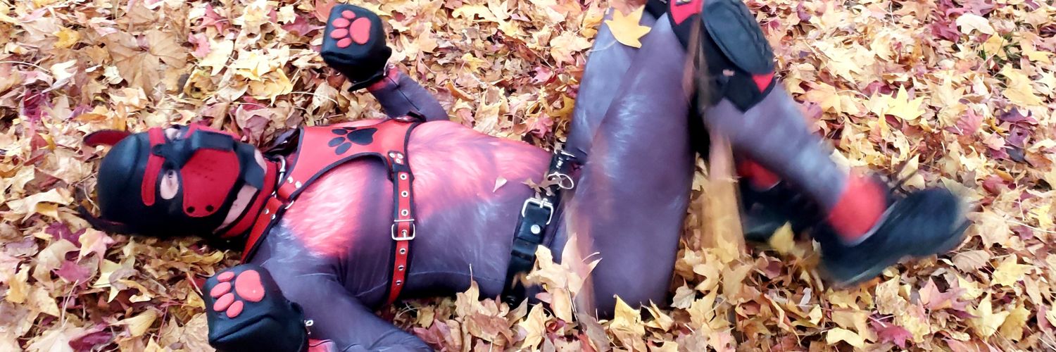 RaynePet's profile banner image