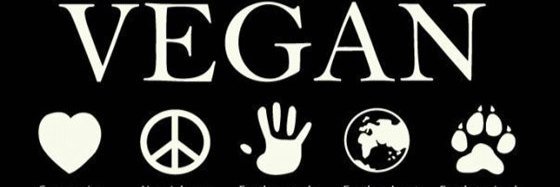 veganvilma's profile banner image