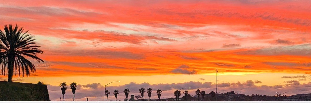 KerryKennedyD's profile banner image