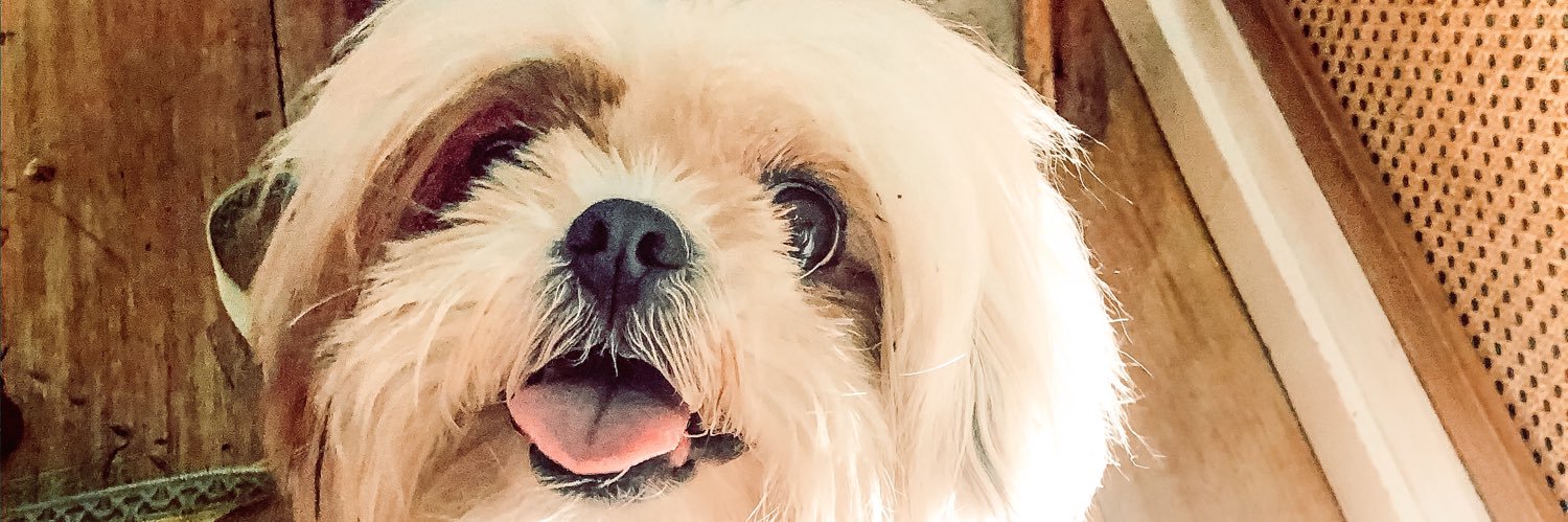 maferanguloi's profile banner image