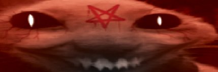 sleepy creature banner