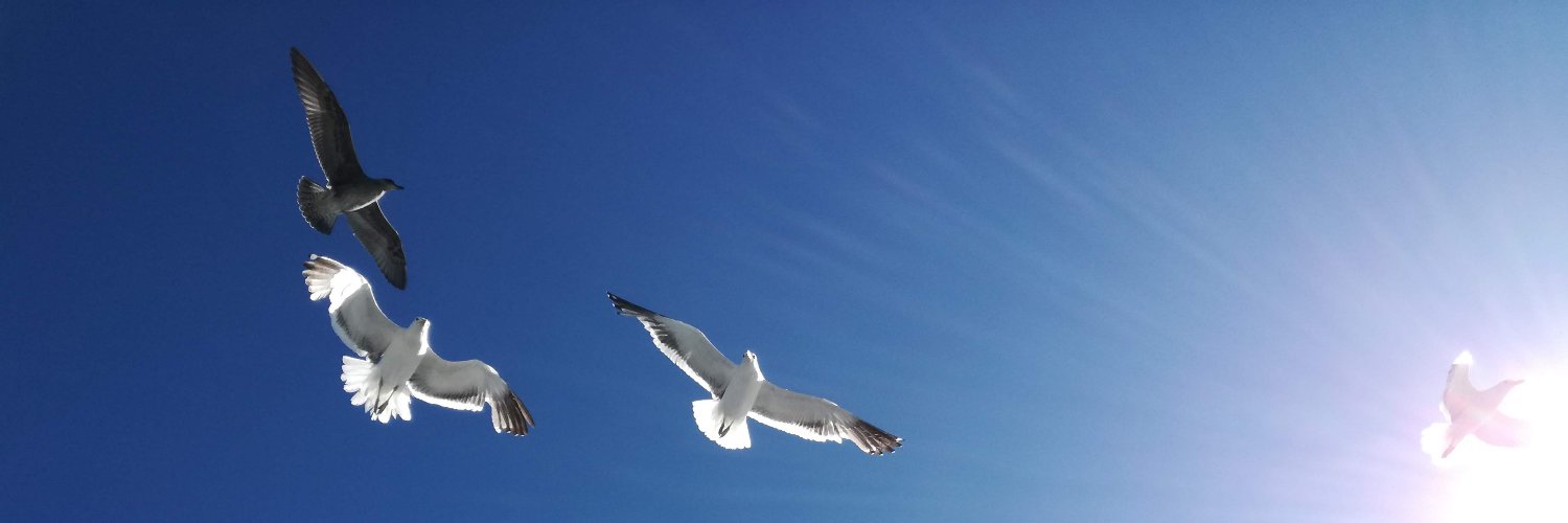 🧉 🕊️ banner