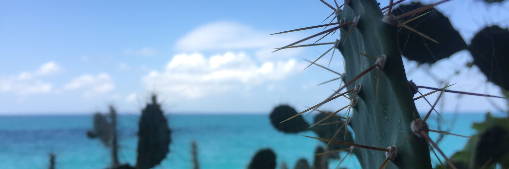 alfidiy16's profile banner image