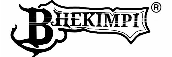 BhekiGasa's profile banner image