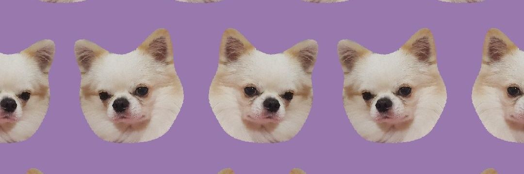 PimMmii's profile banner image