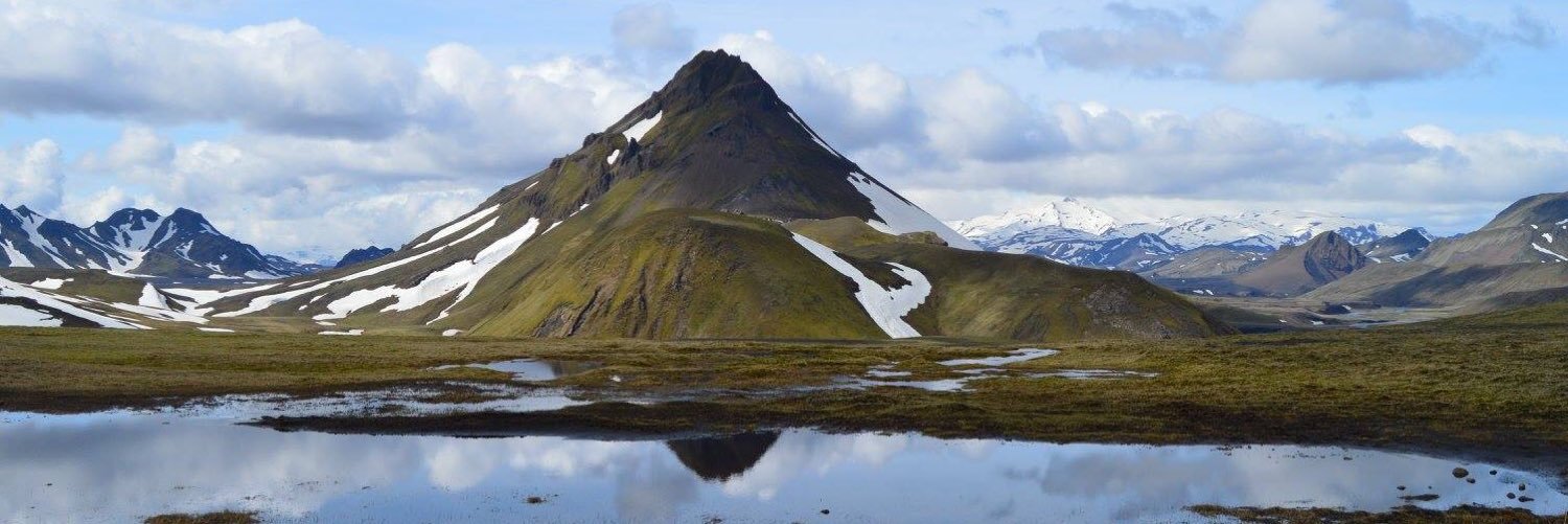 ICWildMed's profile banner image