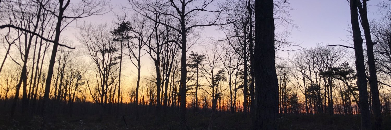 joshhhhhho's profile banner image