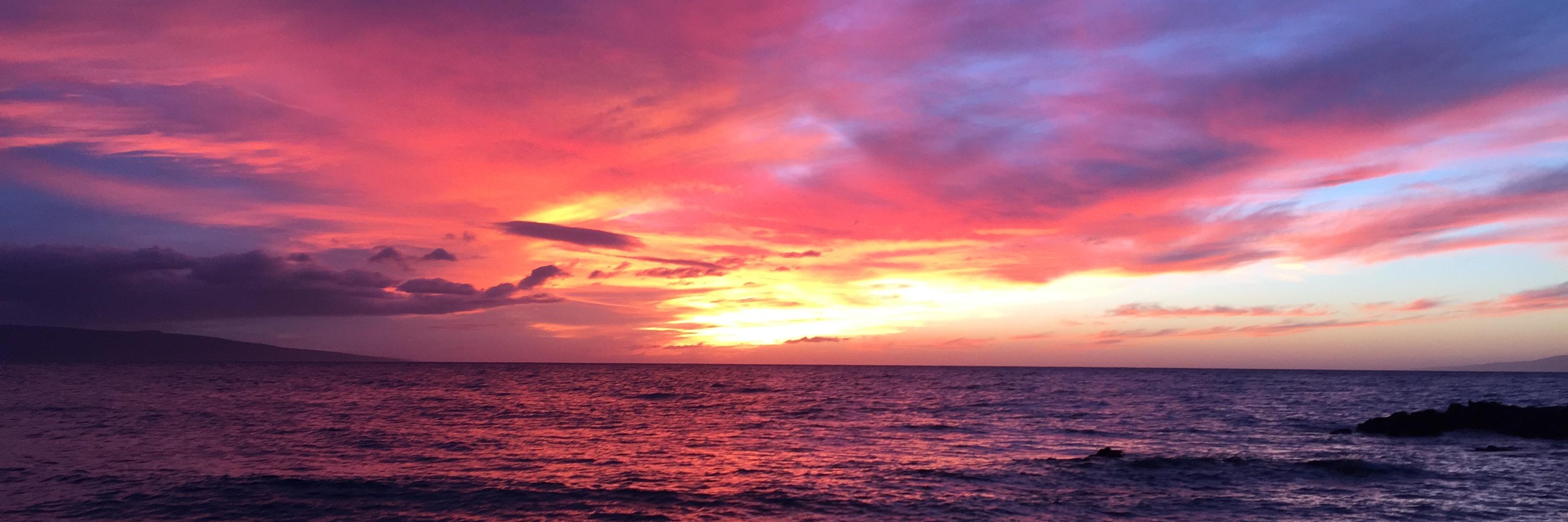 Triebes's profile banner image