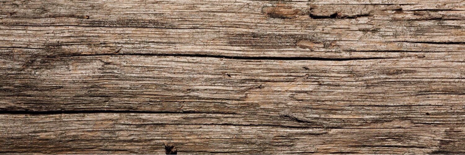 PBMerchandise's profile banner image