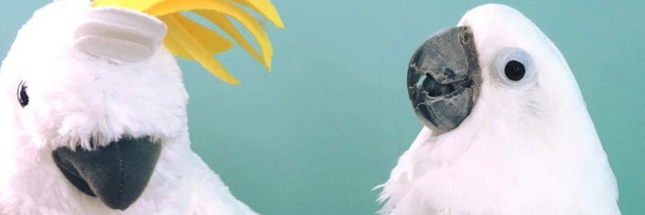 xoRandomHero's profile banner image