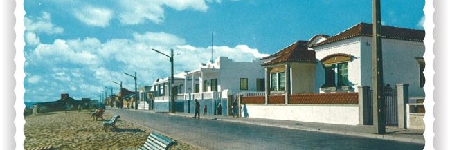 alpalma's profile banner image