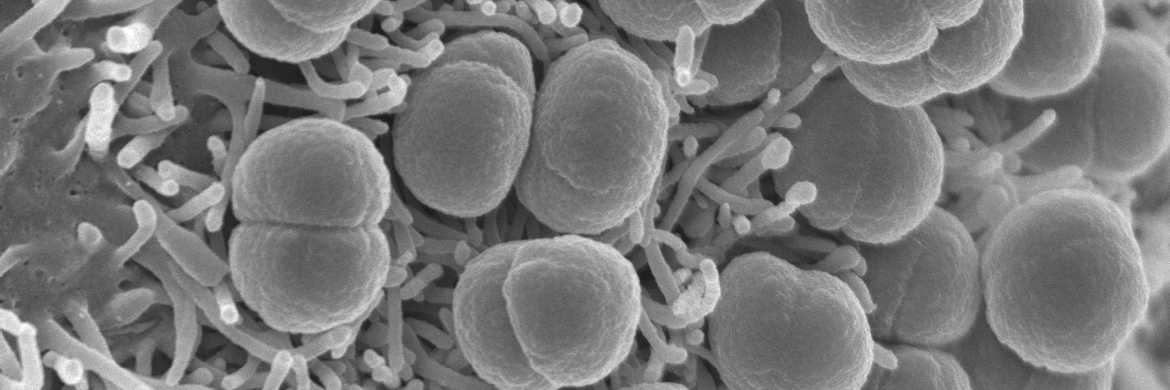 THE DUMENIL LAB banner