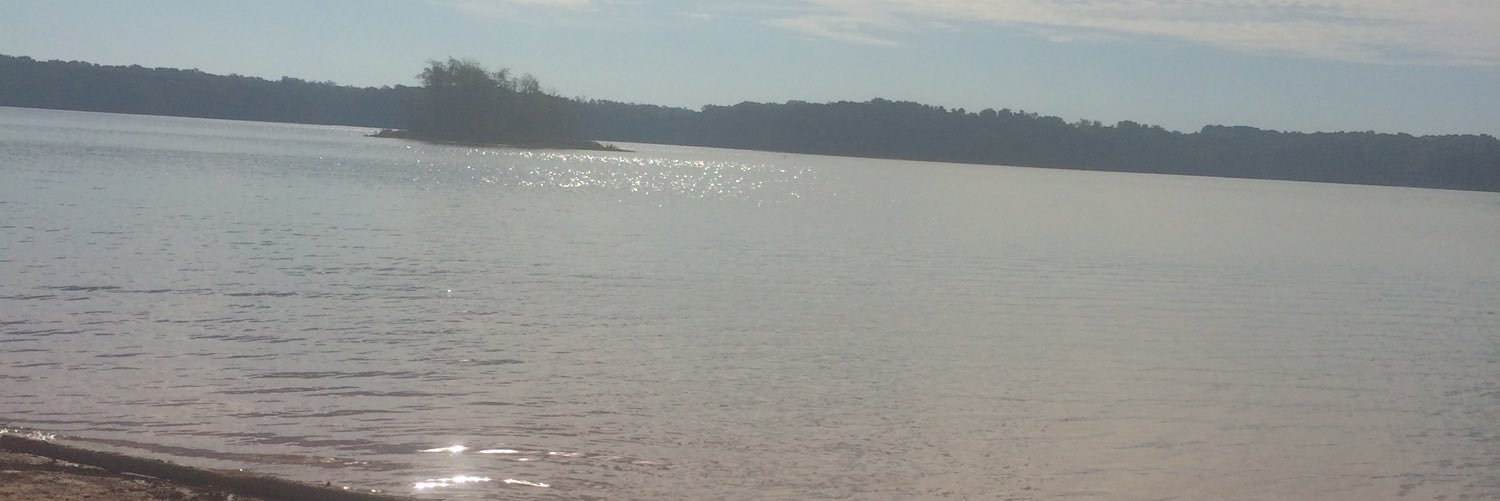 skhall2015's profile banner image