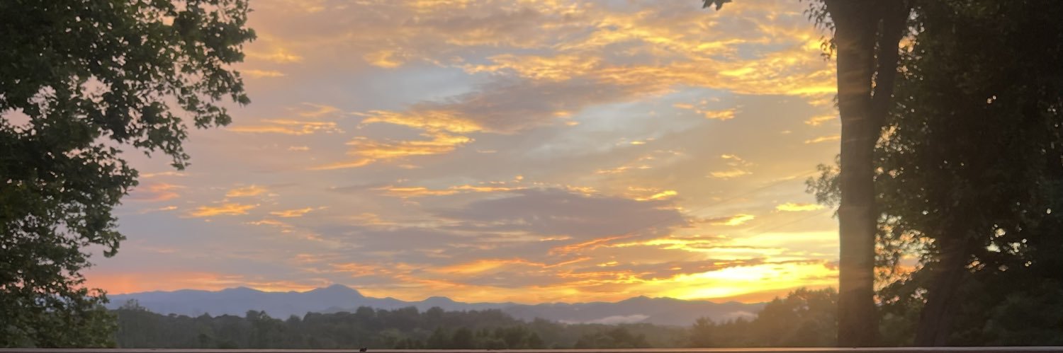 Victoria Comey- Estoye banner