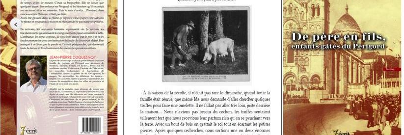 JeanPierre Duquesnoy banner