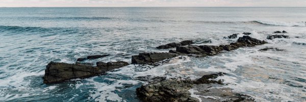 hey__taylor Profile Banner