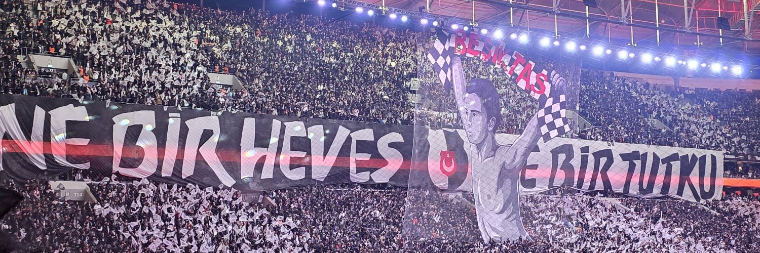 melihuysl's profile banner image
