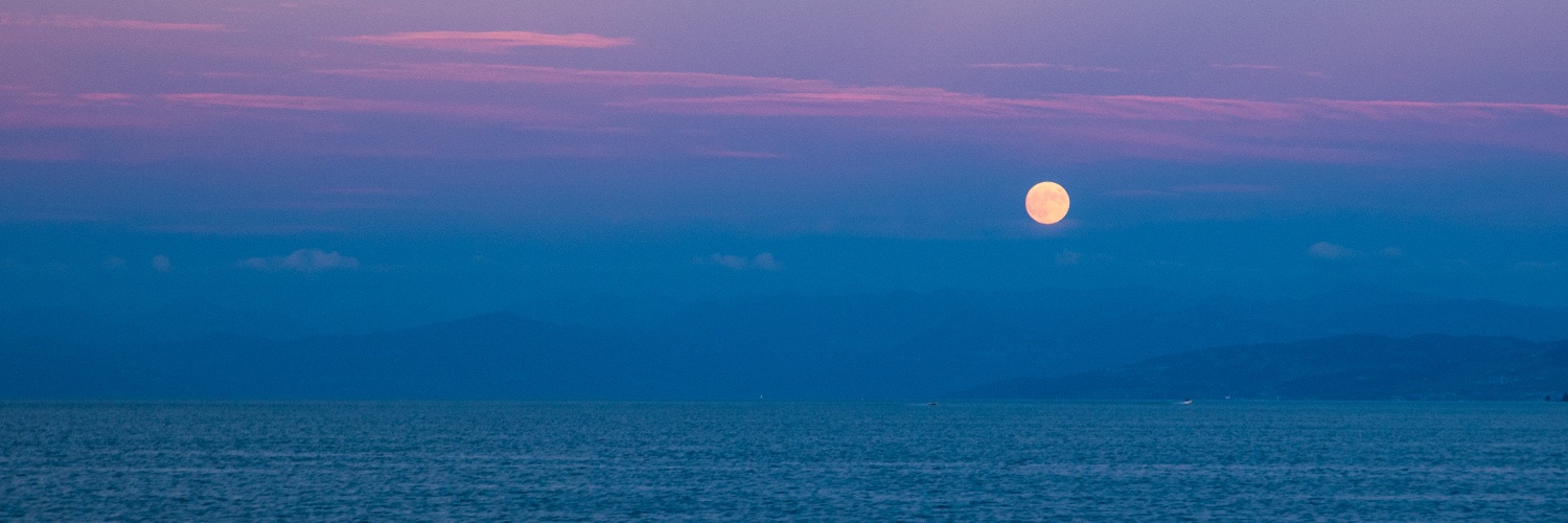 Akshay Markanday banner