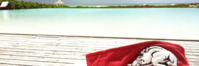 InLamansTerms's profile banner image