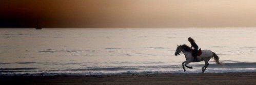 hanoo_10's profile banner image