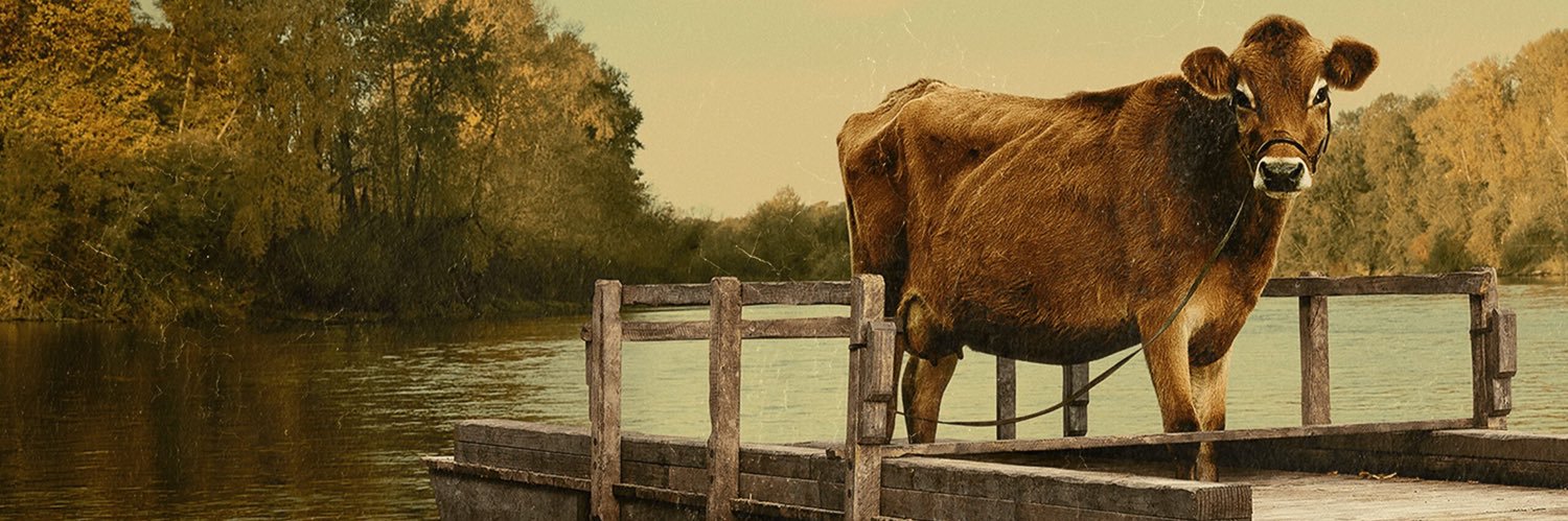 DylanTalksFilm's profile banner image